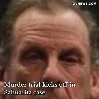 A Pima County prosecutor told jurors Wednesday that police found the gun used to kill a Sahuarita resident at Douglas Gauf's home with Gauf's DNA on the slide and trigger. Wednesday was the first day in Gauf's trial in connection with the May 2024 death of 51-year-old Terry Parker.

Click the link in our bio to read the story

✍️ Kim Smith

#PimaCounty #Sahuarita #ArizonaNews #CourtroomChronicles #TrueCrime #LegalNews