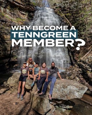 Protect the Tennessee outdoors you love by becoming a TennGreen member today!

Membership contributions ensure that we can swiftly protect our vulnerable lands and waters as important conservation opportunities arise. Plus, as a TennGreen member, you’ll join a community of consistent conservationists and receive invitations throughout the year to guided hikes and paddles, exclusive conservation celebrations, special outings, and educational opportunities you won’t find anywhere else in Tennessee!

🌎 View all benefits and become a member via the link in bio.