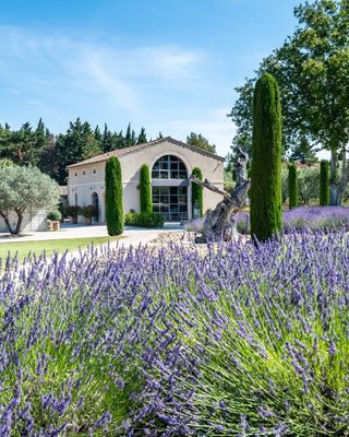 A dream for children and adults alike with multi-sport field, hammam, and jacuzzi on a genuine Provençal estate — discover Domaine de Villeblanche. ⚽✨
📍 Eyragues · Near Saint-Rémy-de-Provence · Alpilles · Provence
🗓️ Limited 2026 availability. Book early for 2027 dates.

Fully air-conditioned and renovated to the highest standard, this property sleeps 14 across nine bedrooms. The main house features seven bedrooms and five bathrooms, beautifully decorated with a state-of-the-art kitchen (three stoves, two dishwashers). La Grange, a renovated barn, offers two additional bedrooms and one bathroom with large open spaces flooded with light.

Children's dream: playroom, multi-sport field (soccer, volleyball, basketball, tennis), triple swing set, climbing frame, trampoline, ping-pong. Adults' paradise: 13x7-meter heated pool, hammam, jacuzzi for six, Bang & Olufsen sound system, gym, bar, pool table. Welcoming pool house for long outdoor dinners.

Just 8 kilometers from Saint-Rémy-de-Provence and close to historic Avignon. A fantastic holiday retreat for large families or groups.

Contact one of our Villa Rental Specialists to check availability:
https://my.onlyprovence.com/s/property?name=VILLEBLANCHE

Weekly rates starting from €19,475.