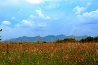 Mexican Highlands.