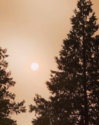 In times of fierce wildfires and other natural disasters, we often feel helpless and hopeless. It is important in these times to remember that there are always things that can be done to be helpful, ready and prepared. 

And don’t forget to pray, pray as if Creator herself is listening. Send out healing energy, and remember—there are likely thousands of other people just like us, praying, sending forth light, and calling in the rain.

Tap the link in my bio @rosemarygladstar for some tools and resources you can use to support yourself and your loved ones experiencing these disruptions...

#herbalist #herbalism #rosemarygladstar #scienceandartofherbalism #wildfire smoke fire smokeinhalation forestfire https://scienceandartofherbalism.com/in-the-face-of-fire/