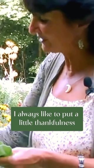 What would our world look like if we were more like plants? 🌿💕

🎥 excerpted from Rosemary’s Remedies filmed by @learningherbs. Full video series available in The Science & Art of Herbalism course (link in our bio @rosemarygladstar )

https://scienceandartofherbalism.com/product/the-classic-printed-plus-online-course/