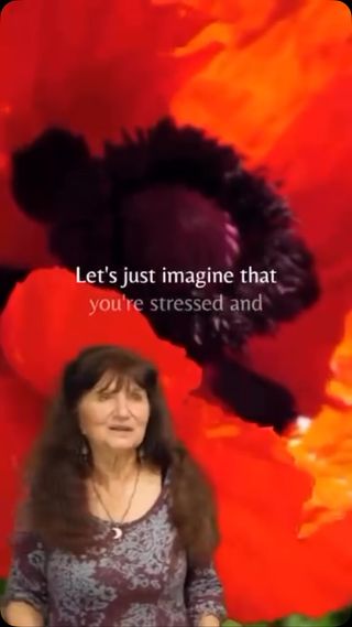 The plants are our allies and offer gifts beyond food and medicine for our physical bodies. A simple practice like this can calm and center you–allowing you to carry that peace into the world with you–and this can have a ripple effect on the world around you. ❤️

This little video is an excerpt from Rosemary’s class A Cup of Calm—one of the 5 classes from Rosemary included in @herbalacademy’s Herbalism Collective Bundle! This bundle is only available through tomorrow so be sure to sign up now at the link in our bio!

https://tickets.herbalismconferences.com/herbalism-collective-bundle/?affiliate=rosemarygladstar