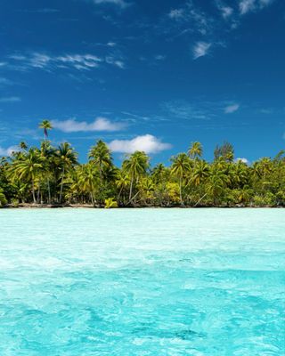 On one of French Polynesia’s most authentic, least-touristed islands, Maitai Lapita Village Huahine punches well above its weight with a private white-sand seafront, dramatic volcanic backdrop, and a poignant micro-museum dedicated to the Lapita people, ancestors of today’s Polynesians.
.
Link in bio
