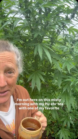 If you haven’t experienced the absolute treat of learning with @tammisweet1 yet, then you won’t want to miss the opportunity to join us at the BotanicWise Women’s Herbal Gathering! 

If you’ve already experienced Tammi Sweet’s trademark teaching style…well then, you already know it’s not to be missed!

Tammi will be teaching on…

“Tammi’s Favorite Plant” 101:
This class will dispel misinformation and myths, providing you with a working knowledge of this plant and enabling you to make informed decisions about whether to work with it and how to do so effectively.

The Home Apothecary: Preparing For The Revolution: Join me as I discuss my top 13 plants for the home apothecary, including the categories of ailments to treat when considering building your medicine chest.

Register now at the link in our bio! https://botanicwise.com/whg

#womensgathering #womensupportingwomen #herbalconference #herbalist