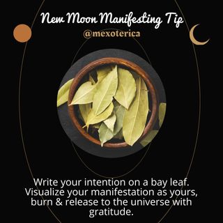 ✨♌️🌑New Moon Tip🌑♌️✨

This is an easy ritual you can do for the New Moon. Bay leaves have many magickal properties, one of them being manifestation, making it an excellent choice for setting the intention for the New Moon cycle.

Wishing you a blessed New Moon in Leo ♌️ and may the energy of the New Moon manifest the abundance and miracles you’ve been asking for!✨

Así sea, así será 🙏🏽

-Oz 🪬
•
•
•
#mexoterica #newmoon #leo #manifesting #abundance