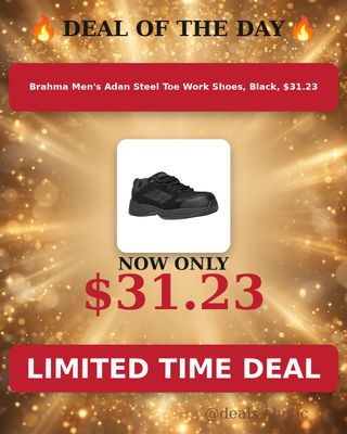 🔥 Brahma Men's Adan Steel Toe Work Shoes, Black, $31.23
💰 $31.23
👉 https://deals-aholic.com/d/walmart-sd-20024895
#dealsaholic