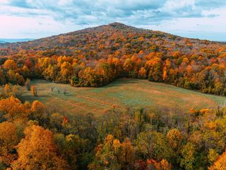 Perched atop the rolling valleys of Warren County, Tennessee, Cardwell Mountain is one of the most important intact portions of the Cumberland Plateau. After years of work by partnering organizations, this layered capsule of human history was dedicated as Cardwell Mountain State Archaeological Park earlier this year, marking pivotal historic, cultural, and natural conservation for the region.

In 2021, @tenngreenlc, @theconservationfund, and @tn_nature joined together to acquire 534 acres that would become @cardwellmountainstatepark. This represented the first joint acquisition of the three nonprofits and built a framework for continued collaborative conservation efforts across Tennessee.

Read the full conservation story via the link in bio.

📸: Matt Morrison

#ArchaeologyAwarenessMonth #TennesseeStateParks #TNStateParks #Archaeology #TennesseeHistory