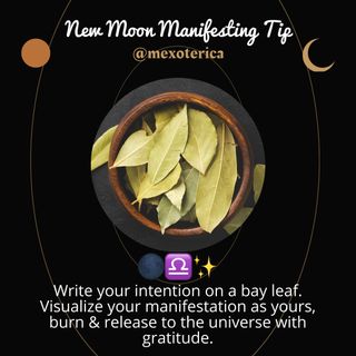 ✨♎️🌑New Moon Tip🌑♎️✨

This is an easy ritual you can do for the New Moon. Bay leaves have many magickal properties, one of them being manifestation, making it an excellent choice for setting the intention for the New Moon cycle.

Wishing you a blessed New Moon in Libra ♎️ and may the energy of the New Moon manifest the abundance and miracles you’ve been asking for!✨

Así sea, así será 🙏🏽

-Oz 🪬
•
•
•
#mexoterica #newmoon #libra #manifesting #abundance