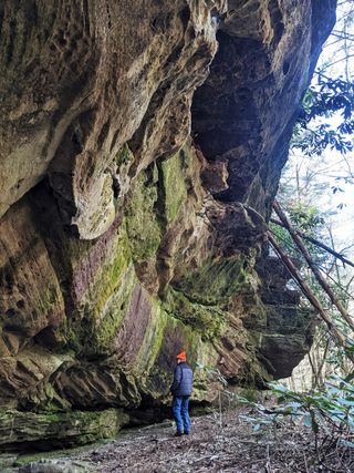 “My wife and I love our property and are in awe of its unique natural beauty. Because of this, we chose to preserve its many remarkable features with a conservation easement in hopes that the land will pass on to future generations of owners who will love and maintain it as we do." —Bill Morgan

In 2022, TennGreen helped Joy & Bill Morgan protect 32 acres of scenic private land along the Obed River with a conservation easement (pictured). This easement forever protects species-rich forests and about half a mile of frontage along the Obed, about three miles upstream of the nationally designated "Wild and Scenic" section.

Read the full conservation story via the link in bio.
