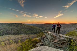 Tennessee's natural heritage is one of the few things that truly belongs to all of us.

From the lands and waters that sustain our communities to the state parks that support local economies, conservation benefits every Tennessean.

In a new op-ed, TennGreen Executive Director Alice Hudson Pell reflects on why conservation has long been common ground in Tennessee, what's at stake as our state grows, and why bold conservation leadership matters now.

Read Alice's full op-ed via the link in bio.

📸: Welch's Point in Scott's Gulf Wilderness State Park (Chuck Sutherland)