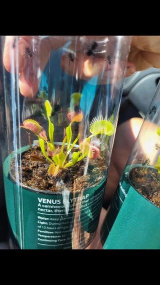 Check out my newest plan additions! And that carnivorous one😳🤣