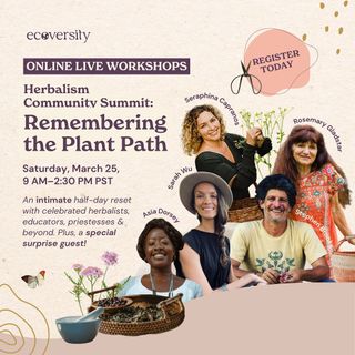 I'd love for you to join me in this live 𝗛𝗲𝗿𝗯𝗮𝗹𝗶𝘀𝗺 𝗦𝘂𝗺𝗺𝗶𝘁 hosted by @ecoversity this Saturday!🌿 

LIVE ONLINE HERBALISM SUMMIT 🌿 SATURDAY, MARCH 25, 2023 12pm - 5:30pm ET 

Together, we'll explore the magic and healing power of plants...
🌿 Discover herbal medicine in your own backyard or neighborhood
🌿 Unveil the healing powers of the Rose
🌿 Explore the depths and importance of ethical herbalism

This event is donation-based and is a wonderful opportunity to give back by supporting United Plant Savers @unitedplantsavers (a mission near and dear to my own heart as you know!) 🌍🌱🙏💚🌻

Swipe to see workshop details and tap the link in my bio @rosemarygladstar to register! 🌿 

 #plantmagic #herbalmedicine #herbalremedies #herblore #medicinalplants #planttherapy #healingherbs #herbalwisdom #herbalist #botanicals #herbalmagic #plantlover #herballove #plantenergy #herbalcommunity #plantmagiclove #earthlove #natureheals #plantconsciousness #healingearth #herbalist #rosemarygladstar #ecoversity https://www.ecoversity.org/a/2147531371/oTGGp9y2
