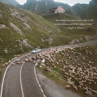 “Sometimes the most scenic roads in life are the detours you didn’t mean to take.”—Angela N. Blount, Once Upon an Ever After

Also applies to travel 😉
📸 @tobiastu 
#travelinspo #travel #vacationmood #quotes #travelquotes #travelgram #wanderlust #travelgoals #adventure #globetrotter #romania #sheep #countryside #roadtrip