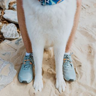 Ready to explore 🐾 #forsake

📸: @dantesdivinewoof