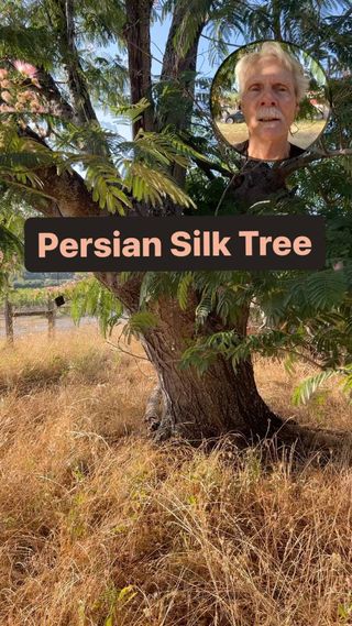 Living well, in the age of anxiety.
Three part webinar series with.
Dr. Christopher Hobbs and Rainya Dann 

Click the link for more information or to enroll .

Anxiety looms large, casting shadows on our well-being and leaving us grasping for relief. But what if the path to peace wasn’t hidden but waiting to be uncovered? Join our enlightening three-part webinar series, led by experts Dr. Christopher Hobbs and Rainya Dann, as we dive into the complex world of anxiety.

This transformative 3-part webinar workshop is designed to equip you with the knowledge, tools, and insights needed to understand and conquer anxiety in today’s fast-paced life.

🌿 https://christopherhobbs.com/living-well/. 🌿