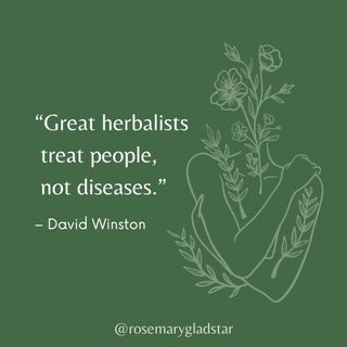 In the first episode of "Voices of our Herbal Elders", David Winston shared this small but mighty bit of wisdom. What does this mean to you? Have you experienced this? 

Listen to the first episode at the link in our bio @rosemargygladstar and follow @herbalist_alchemist_inc  for more!

#voicesofourherbalelders #herbalelders #herbalist #herbalists #herbs #herbalist #treatpeoplenotdisease #plantmedicine #herbalmedicine #holisticmedicine #rosemarygladstar #scienceandartofherbalism #davidwinston https://scienceandartofherbalism.com/david-winston-bridging-intellect-and-earth-wisdom/