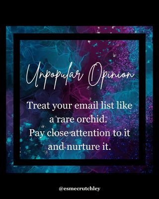 An email list is mega important to entrepreneurs, it gives us a way to speak directly to our subscribers. They have willingly given you their email address, they want to hear from you, you're not "bothering" them when you send an email.

These people have gone above and beyond following you on social platforms, they've given you a part of themselves, access to their email inbox.

Don't take that lightly.

#SystemsAndGlitter #Subscribers #EmailMarketing #Newsletter

https://esme.fyi/insta