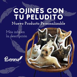 ¡Dale vida a tu amor por tu mascota 🐶🐱🐦con un cojín personalizado único en su clase! ¿Te imaginas poder abrazar a tu peludo amigo incluso cuando no está cerca? Ahora puedes, con nuestro increíble cojín con forma de tu mascota.

¿Cómo funciona? Es fácil:

1️⃣Envíanos una foto de tu mascota desde cualquier ángulo.
2️⃣Evaluaremos la calidad de tu fotografía y realizaremos el montaje previo. 
3️⃣Te enviaremos una vista previa para que lo apruebes antes de la producción final.

Ya sea que quieras homenajear a tu fiel compañero o sorprender a un amigo amante de los animales, nuestro cojín personalizado es la elección ideal. 

Contáctanos en WhatsApp 📲 y te atenderemos con todo gusto, al 6233-7401. 

 #mascotas #dogs #doglife #cat #catlife #cojines #regalos #veterinaria #dogparents