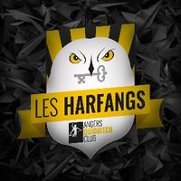 Les Harfangs Profile Picture