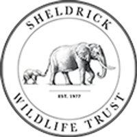 Sheldrick Wildlife Trust Profile Picture